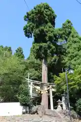 八幡神社（西浅井町小山）(滋賀県)