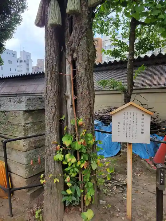 那古野神社(愛知県)