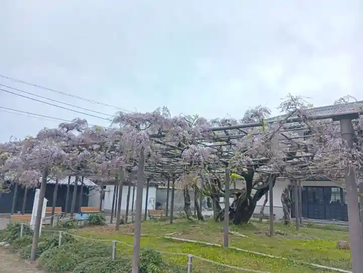 竹鼻別院(岐阜県)