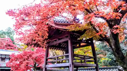 定光寺のその他建物