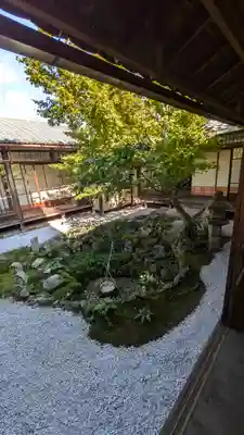 興聖寺(京都府)