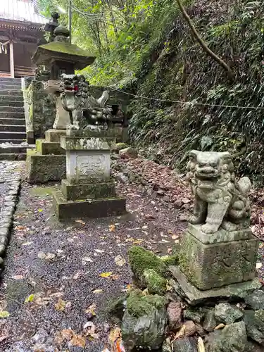 八幡宮來宮神社の狛犬