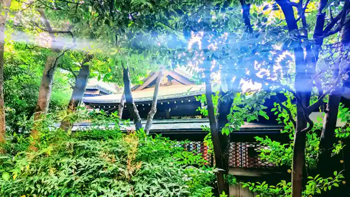 白金氷川神社の本殿・本堂