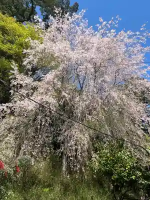 導故院(京都府)
