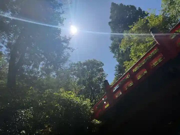 磐船神社の{uncategorized: "未分類", other: "その他", undefined: "問題あり", building: "その他建物", grave: "お墓", sacred_gate: "鳥居", guardian: "狛犬", statue: "像", buddha: "仏像", history: "歴史", nature: "自然", garden: "庭園", animal: "動物", pagoda: "塔", temizu: "手水舎", mountain_gate: "山門・神門", sanctuary: "本殿・本堂", subordinate: "末社・摂社", art: "芸術", scenery: "景色", jizo: "地蔵", ema: "絵馬", goshuin: "御朱印", omikuji: "おみくじ", items: "授与品その他", amulet: "お守り", goshuincho: "御朱印帳", eats: "食事", festival: "お祭り", votive_dance: "神楽", shichigosan: "七五三参", wedding: "結婚式", experience: "体験その他", initially: "初詣", around: "周辺", anti_infection: "感染症対策"}