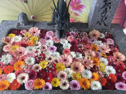 札幌諏訪神社の手水舎