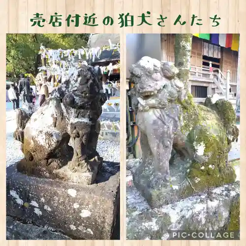 竹林寺の狛犬