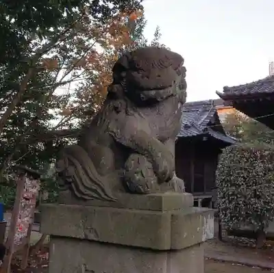 下石神井御嶽神社の狛犬
