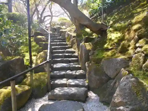 報国寺の庭園