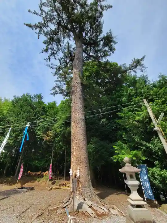 滑川神社 - 仕事と子どもの守り神(福島県)