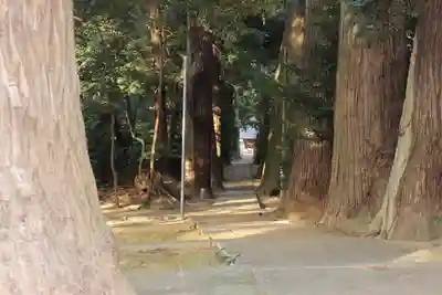 日吉神社(千葉県)