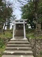 亀島神社の鳥居