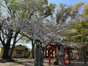 美奈宜神社(福岡県)(2026年04月04日(土) 11時20分05秒投稿)