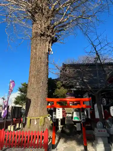 鴻神社のその他建物