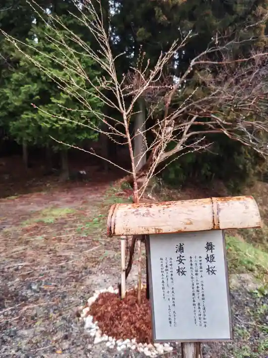 鹿島大神宮の庭園