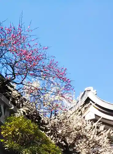 湯島天満宮のその他建物