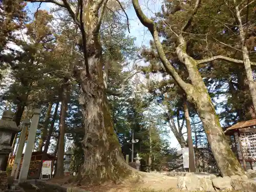 諏訪大社下社秋宮(長野県)