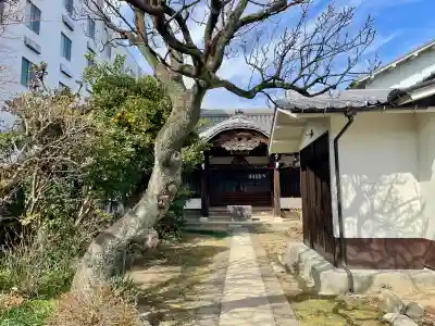 蓮乗院の{uncategorized: "未分類", other: "その他", undefined: "問題あり", building: "その他建物", grave: "お墓", sacred_gate: "鳥居", guardian: "狛犬", statue: "像", buddha: "仏像", history: "歴史", nature: "自然", garden: "庭園", animal: "動物", pagoda: "塔", temizu: "手水舎", mountain_gate: "山門・神門", sanctuary: "本殿・本堂", subordinate: "末社・摂社", art: "芸術", scenery: "景色", jizo: "地蔵", ema: "絵馬", goshuin: "御朱印", omikuji: "おみくじ", items: "授与品その他", amulet: "お守り", goshuincho: "御朱印帳", eats: "食事", festival: "お祭り", votive_dance: "神楽", shichigosan: "七五三参", wedding: "結婚式", experience: "体験その他", initially: "初詣", around: "周辺", anti_infection: "感染症対策"}