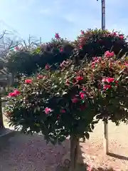 比枝神社(大阪府)