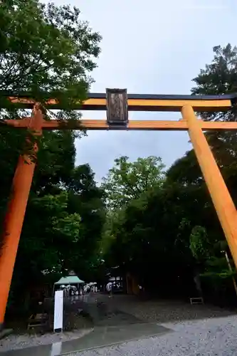 川越氷川神社の鳥居