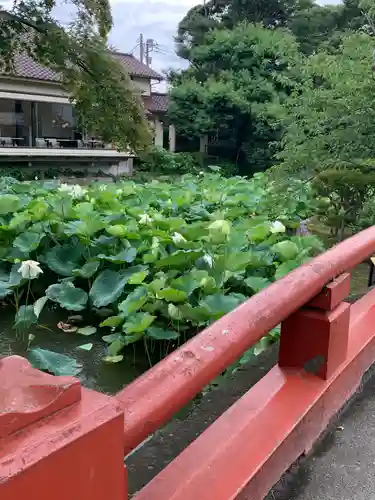 鶴岡八幡宮の庭園