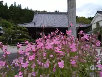 皆福寺(愛知県)