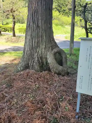 光厳寺(栃木県)