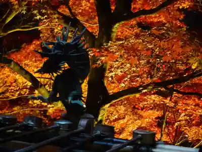 大山寺の手水舎