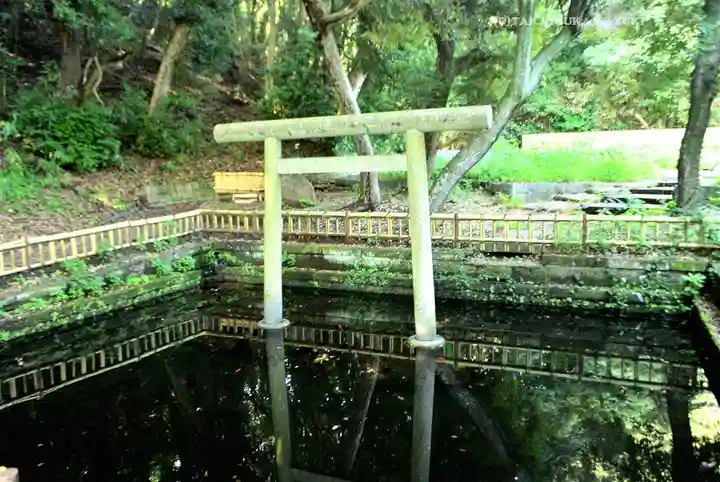 大洗磯前神社(茨城県)