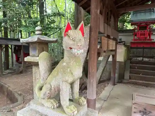 永壽神社の狛犬