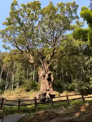 武雄神社(佐賀県)