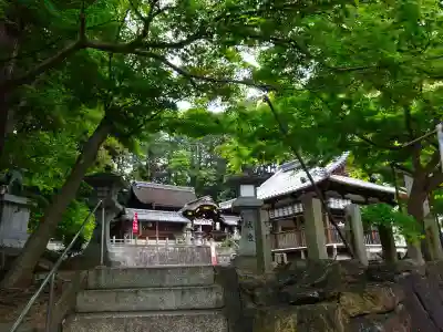 小槻神社(滋賀県)