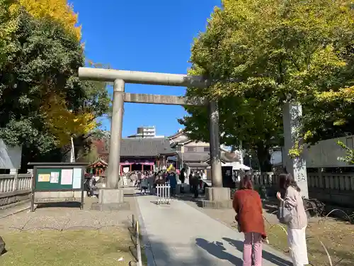 浅草神社の鳥居