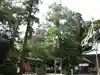 深見神社の自然