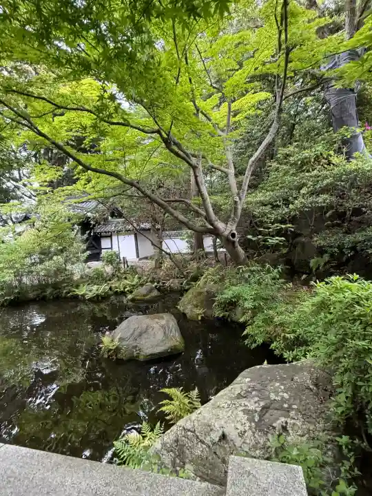よみうりランド観音の{uncategorized: "未分類", other: "その他", undefined: "問題あり", building: "その他建物", grave: "お墓", sacred_gate: "鳥居", guardian: "狛犬", statue: "像", buddha: "仏像", history: "歴史", nature: "自然", garden: "庭園", animal: "動物", pagoda: "塔", temizu: "手水舎", mountain_gate: "山門・神門", sanctuary: "本殿・本堂", subordinate: "末社・摂社", art: "芸術", scenery: "景色", jizo: "地蔵", ema: "絵馬", goshuin: "御朱印", omikuji: "おみくじ", items: "授与品その他", amulet: "お守り", goshuincho: "御朱印帳", eats: "食事", festival: "お祭り", votive_dance: "神楽", shichigosan: "七五三参", wedding: "結婚式", experience: "体験その他", initially: "初詣", around: "周辺", anti_infection: "感染症対策"}