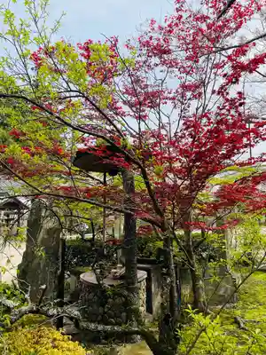 功山寺(山口県)
