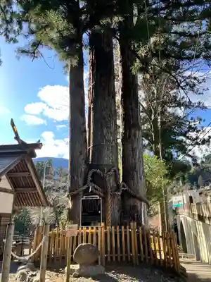 奥氷川神社(東京都)