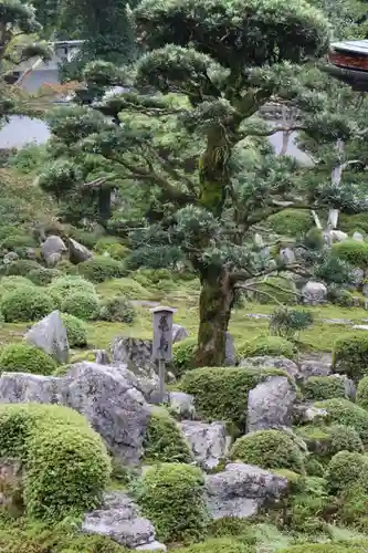 金剛寺(大阪府)