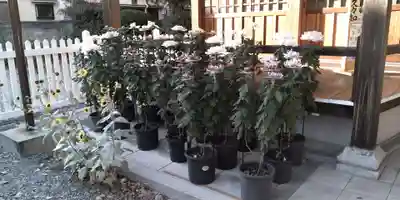 久々知須佐男神社(兵庫県)