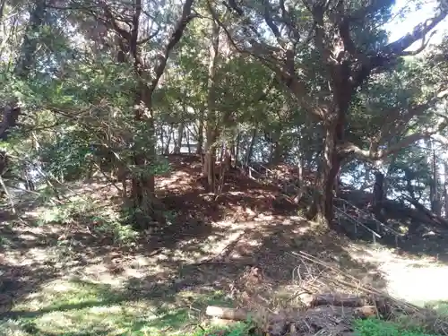 愛宕神社の自然