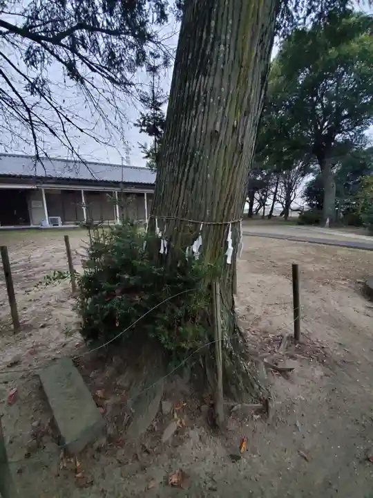豊布都神社(埼玉県)