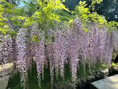歌泉堂(春日大社神苑萬葉植物園内鎮座)(奈良県)