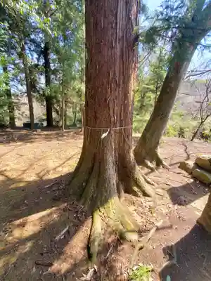 鹿島神社 本殿(栃木県)