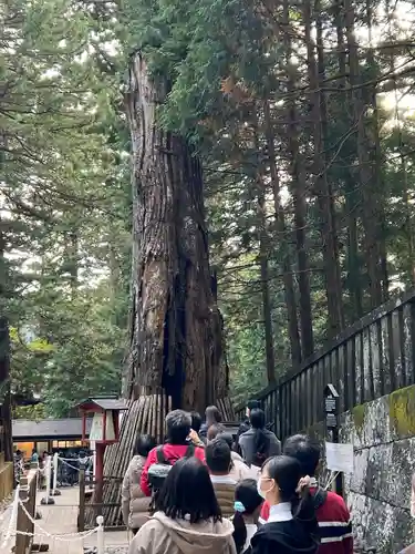 日光東照宮(栃木県)