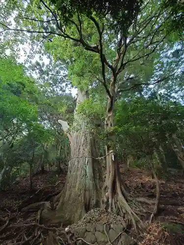 大山阿夫利神社本社(神奈川県)