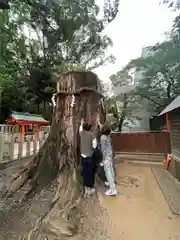 生田神社(兵庫県)