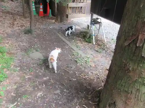 間々田八幡宮(栃木県)