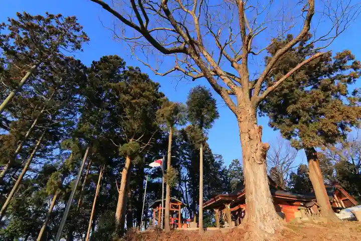 阿久津「田村神社」(郡山市阿久津町)旧社名:伊豆箱根三嶋三社の景色