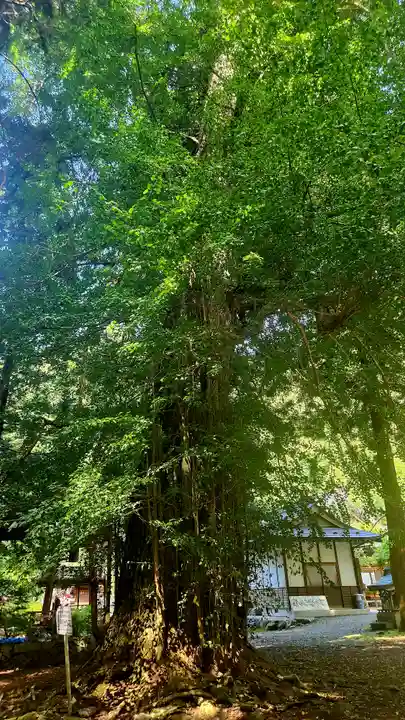 柳津虚空蔵尊 寳性院(宮城県)