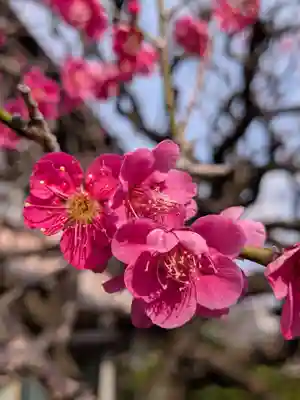 長善寺(東京都)